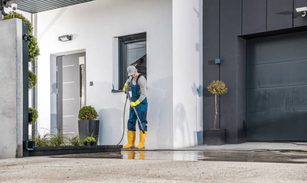 Best Driveway Pressure Washing  in Poydras, LA
